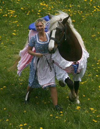 Horses dressed up by fashion designer