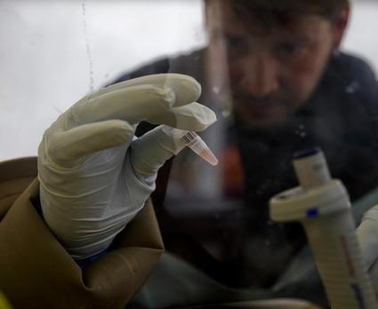国产埃博拉“检测试剂”获批文