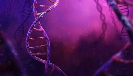 强大DNA检测 帮你了解自己的身体