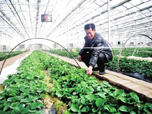 中国已到“工业反哺农业”阶段