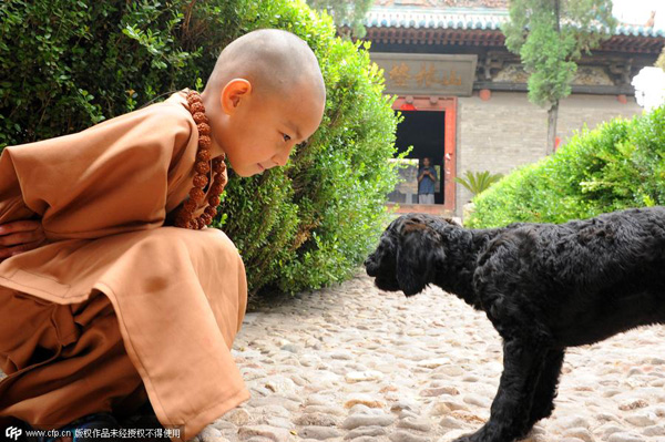 Cute monk causes online stir