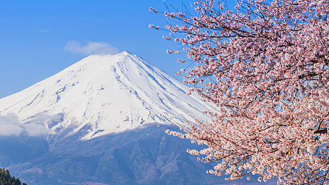 Free internet for Mount Fuji climbers 日本富士山向游客提供免费无线网