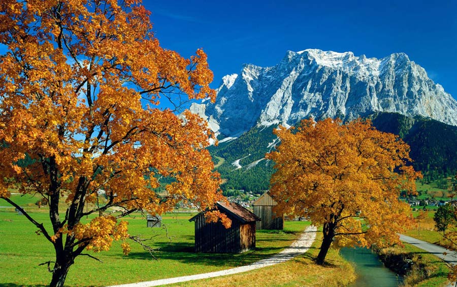 斑斓美图：世界上最美的秋色