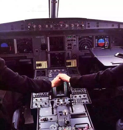 Pilots imitate celeb photo