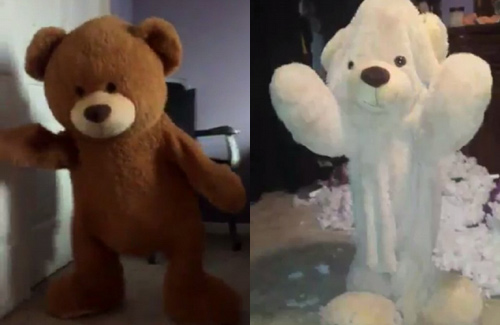 网络新潮流：穿着泰迪熊跳舞（视频）
