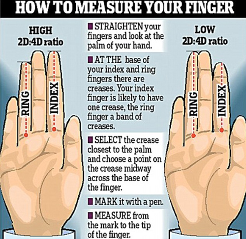 研究：手指长度透露人的性格和才干