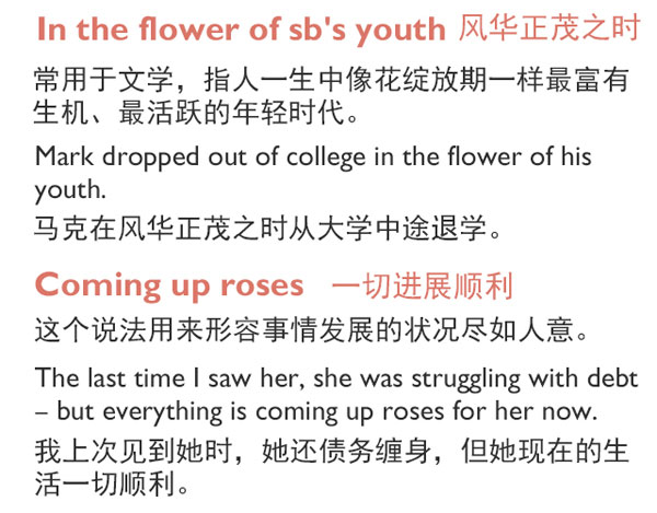 “花语”：和花有关的英语表达