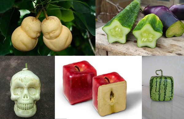 五角星黄瓜、方形西瓜、骷髅头南瓜 神奇模具让果蔬大变身