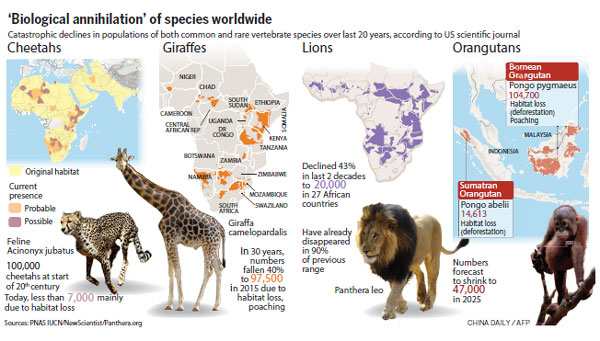 野生动物第六次灭绝正在加速