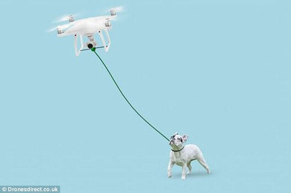 无人机可沿GPS定位路线帮你遛狗