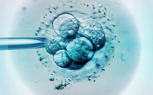 科学家找到决定怀孕成功的关键基因！