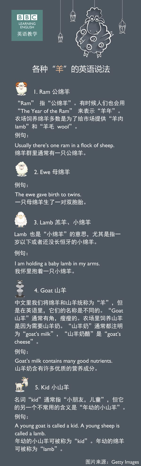 各种 羊 的英语说法