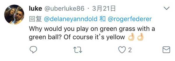 网球到底是黄色还是绿色？看看费德勒怎么说