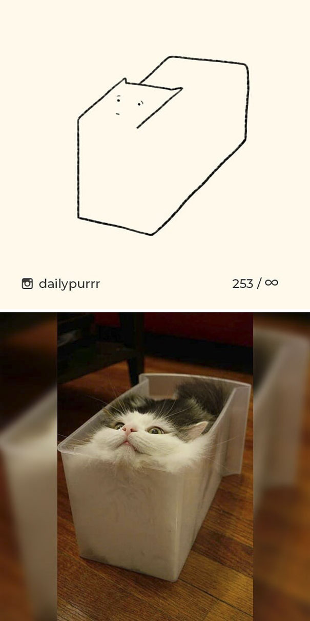 猫也许真的是液体：像极了喵星人本尊的简笔画（组图）