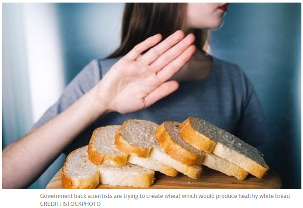 科学家十年内将生产出“健康”白面包 吃一点就饱