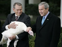 布什总统感恩节赦免火鸡