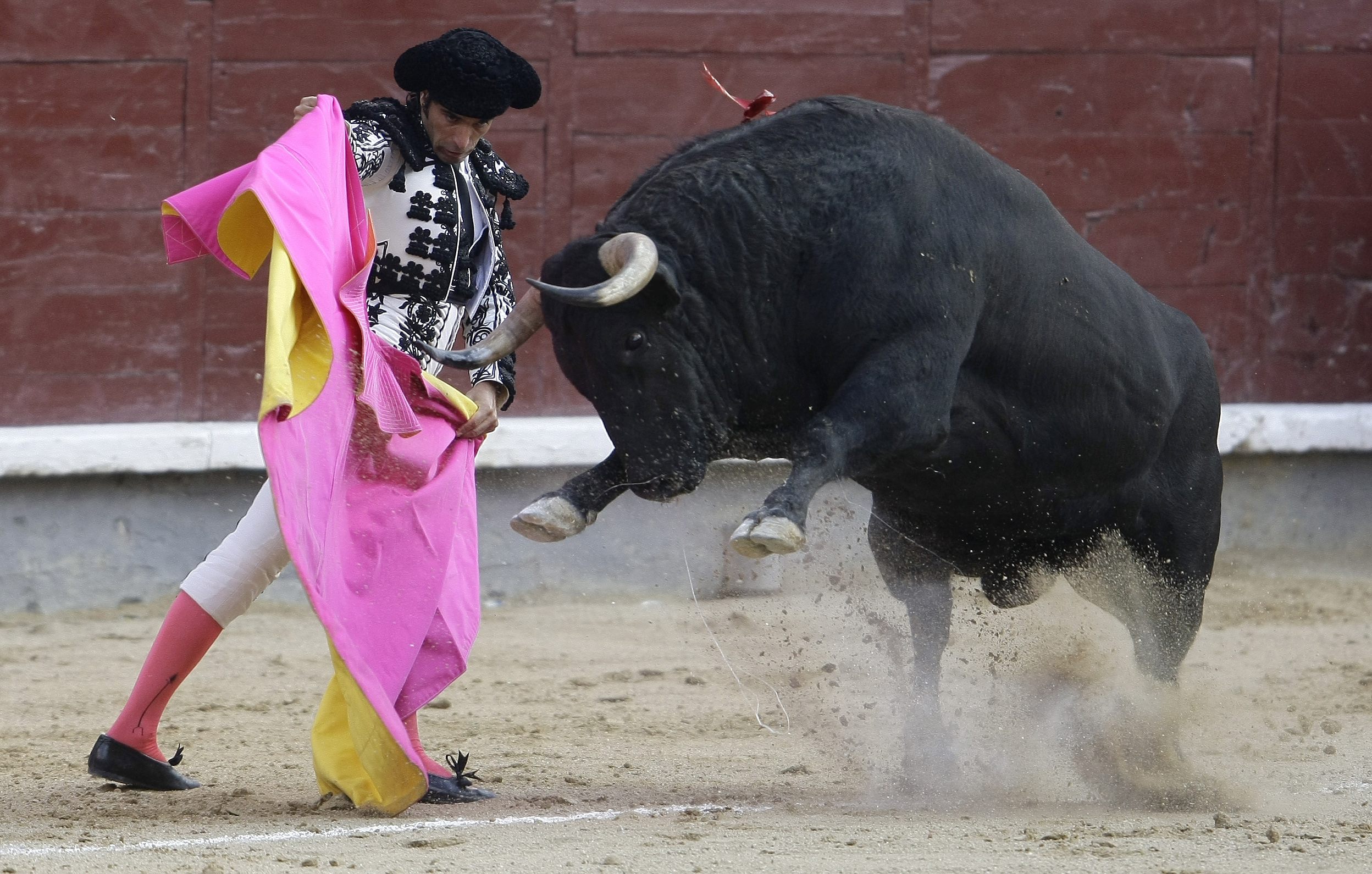 Bullfight in Madrid's Las Ventas bullring