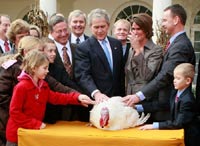 感恩节：布什最后一次赦免火鸡