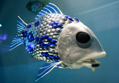 Robot fish detect pollution <BR>英用机器鱼测水质(图)