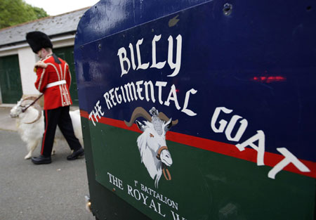 Goat William Windsor parades for his retirement