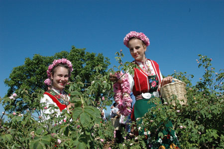 Rose Festival celebrated in Kazanluk