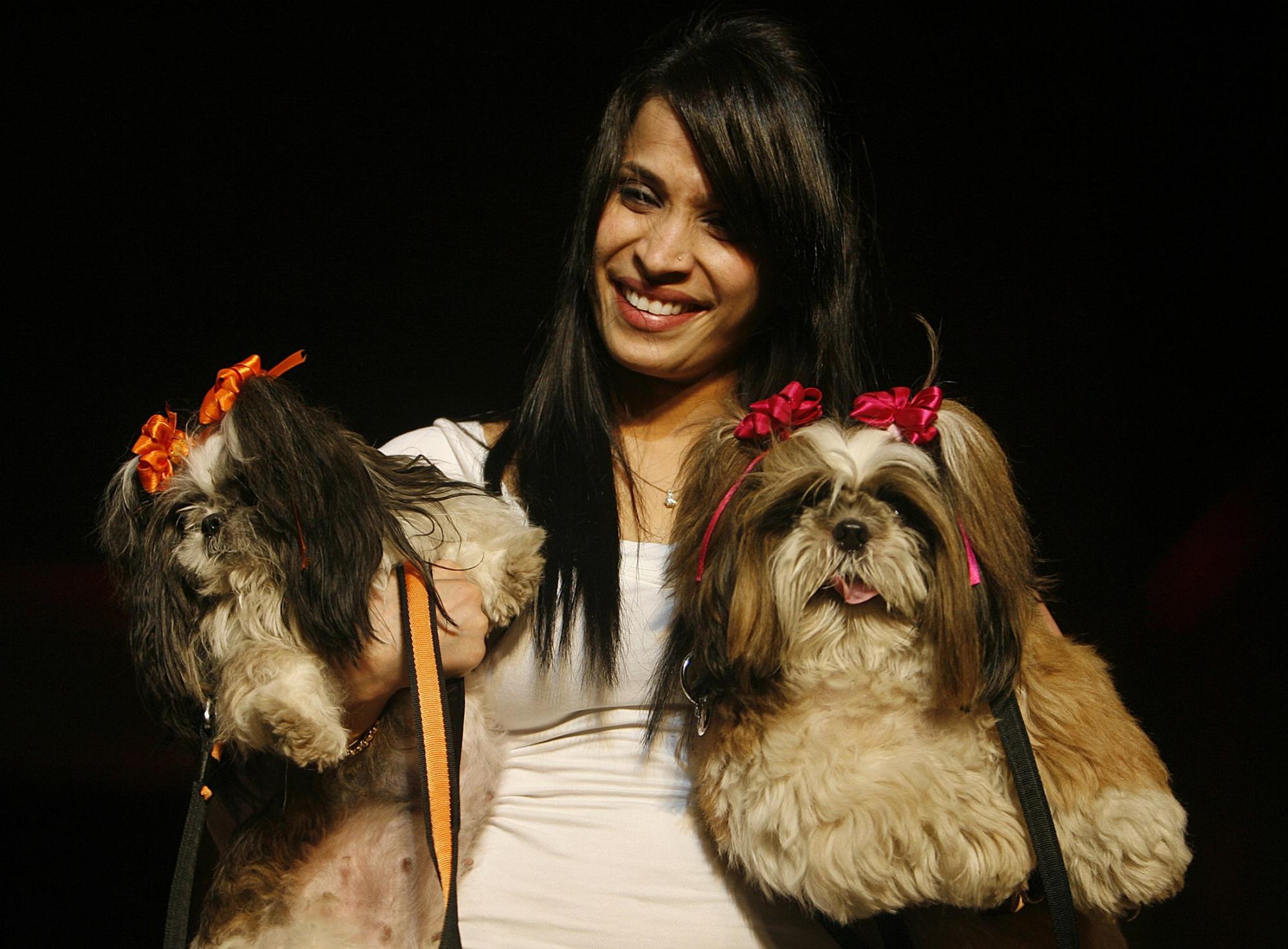 Pet fashion show in New Delhi
