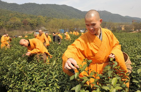 Monks collect tea in Hangzhou