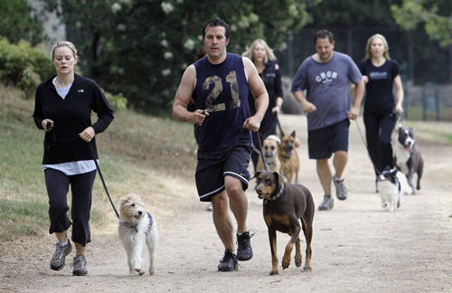 Owners work out with pets in fitness class