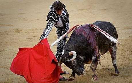 西班牙一地区或发布斗牛禁令