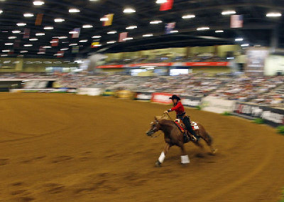 World Equestrian Games opens in US