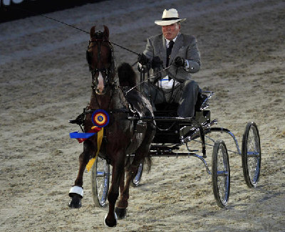 World Equestrian Games opens in US