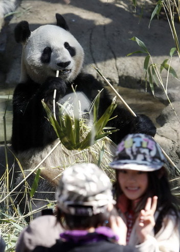 Pandas make first public show in Tokyo