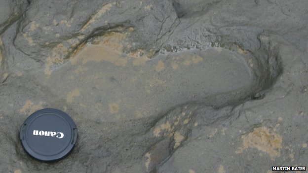 科学家发现非洲以外人类最古老的脚印遗迹