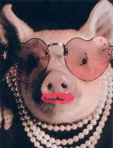 给猪涂口红 lipstick on a pig